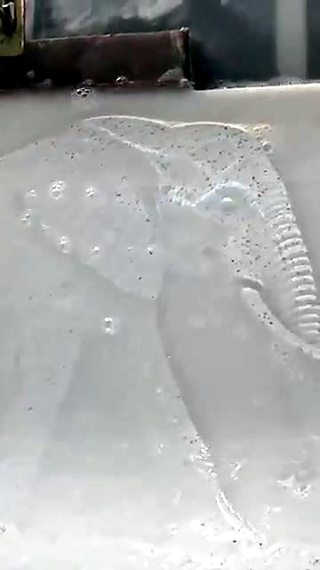 Wet marble slab showing the carved elephant relief on the sink-table bed