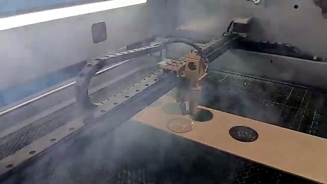 Engraved tree discs on wooden board