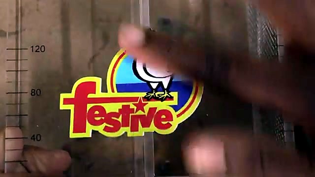 Festive chicken logo on acrylic feeder face (SKU ask)