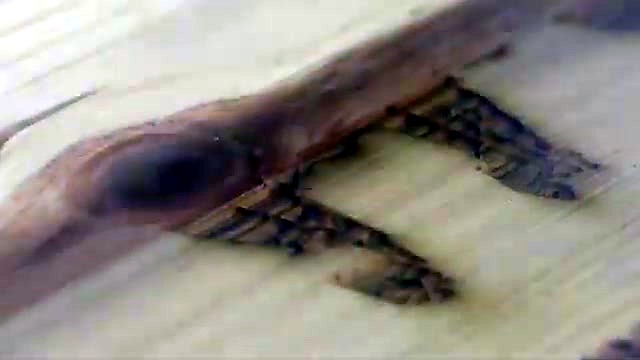Laser engraving buffalo horns on pine + knot (SKU ask)