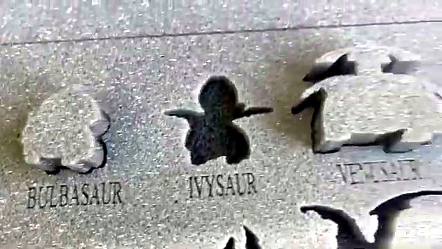 BULBASAUR/IVYSAUR/VENUSAUR engraved names (SKU ask)