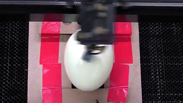 Ostrich egg in pink-tape jig on honeycomb under head (SKU ask)