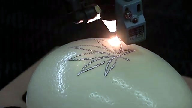 Laser spark engraving leaf on eggshell (SKU ask)