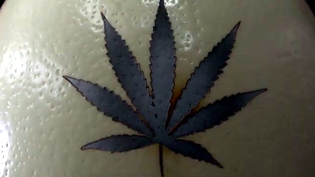 Finished cannabis-leaf engraving on ostrich eggshell (SKU ask)