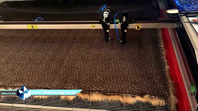 Dual heads + blue air-assist + hazard stickers (SKU ask)