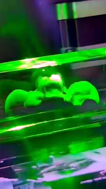 Green subsurface laser engraving inside crystal (SKU ask)