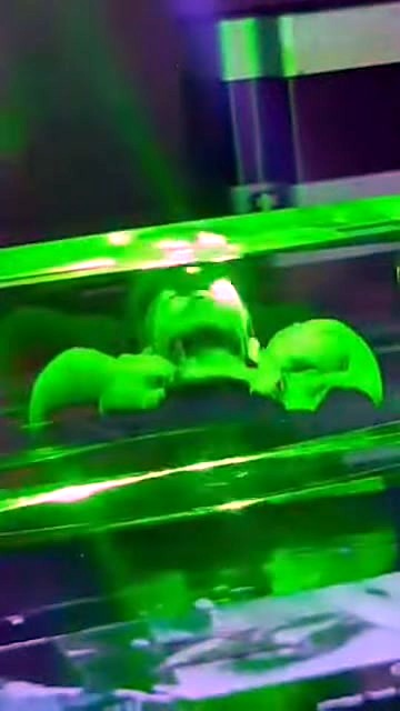 Green laser forming bust inside clear block (SKU ask)
