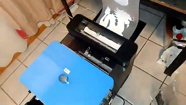 Full roll animal+Africa artwork overview (SKU ask)