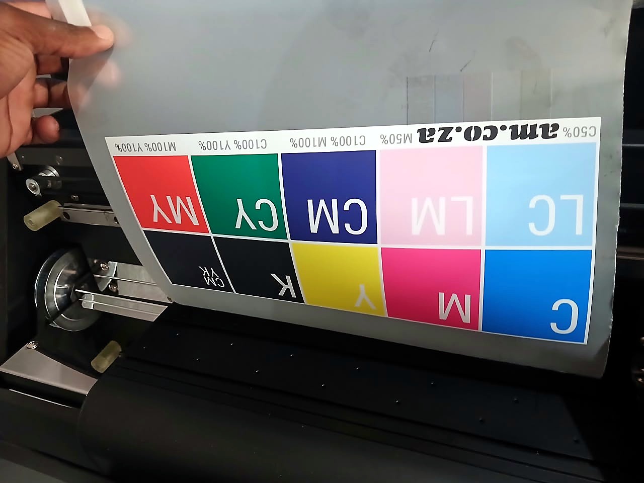 F-DTF/A3 DTF: mirrored am.co.za C/M/Y/K + LC/LM/CM/CY/MY colour-bar test printed on clear DTF film, lifted off the printer's feed/pinch rollers (staff still)