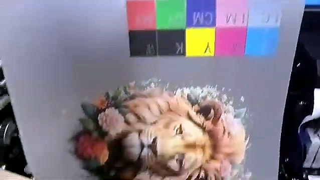 Colour alignment patches and lion print on film