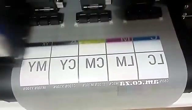 Mirrored colour alignment chart printing on DTF film