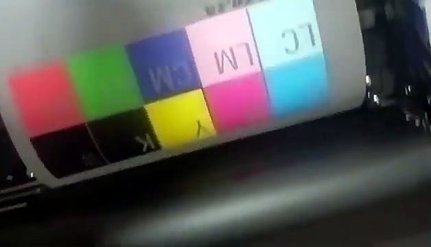 Printed CMYK colour patches on DTF film