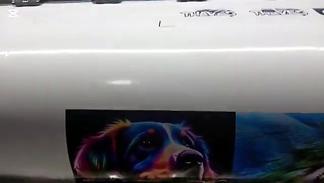 F1-class LFP printing vivid parrot graphic (SKU ask)