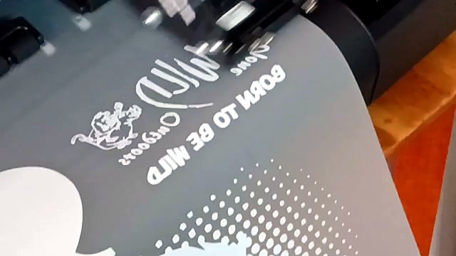 WILD script + halftone film close (SKU ask)