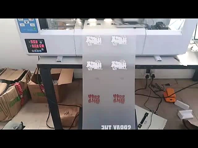 H-DTF/306 printed DTF film output thumb