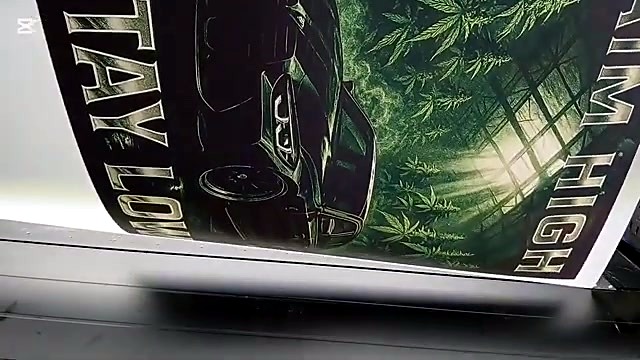 STAY LOW AIM HIGH car artwork exiting front (SKU ask)