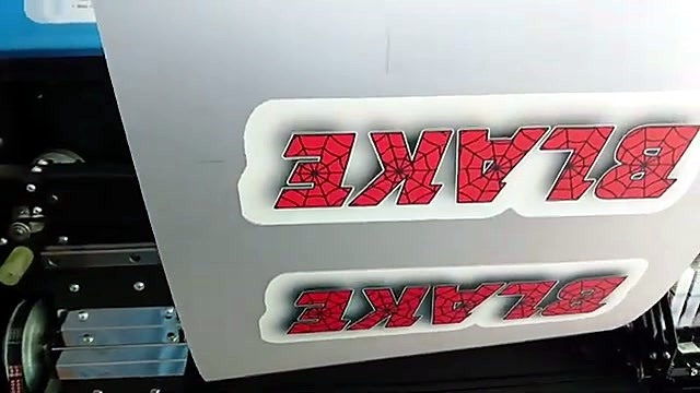 Dual finished BLAKE name transfers (SKU ask)