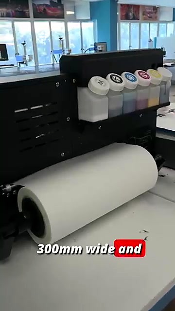 300mm film roll + dual-white CISS tanks (SKU ask)