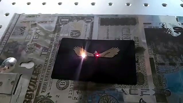 Eagle body marking in progress