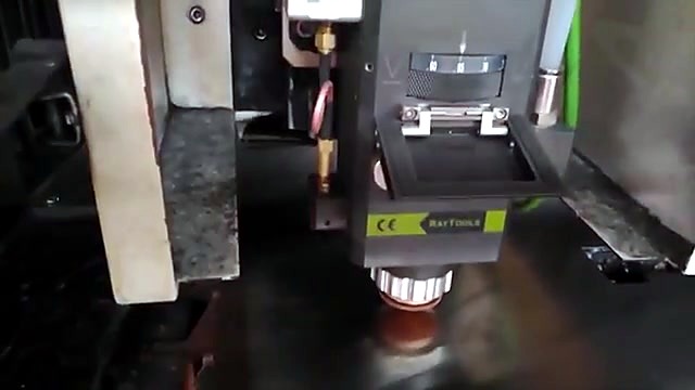 RayTools yellow label head close mid cut (SKU ask)