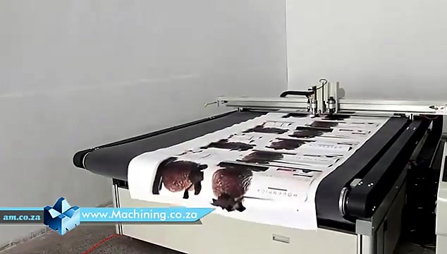Conveyor/roll contour cut of printed media (SKU ask)