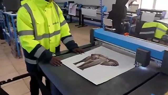 FlatCUT blue gantry + elephant print on vacuum bed (SKU ask)