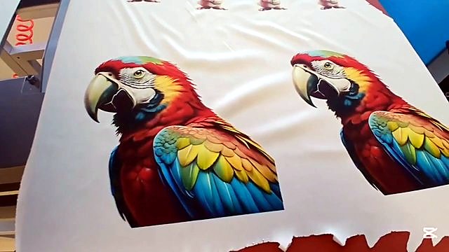 Finished colourful parrot transfer on fabric (SKU ask)