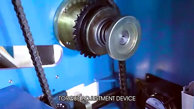 Torque adjustment chain/gear device (SKU ask)