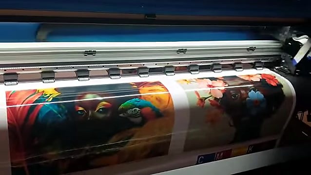 Pinch rollers holding white roll mid portrait print (SKU ask)