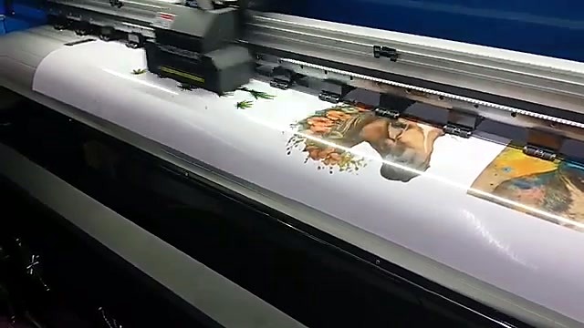 Dual am.co.za plates on blue beam (SKU ask)