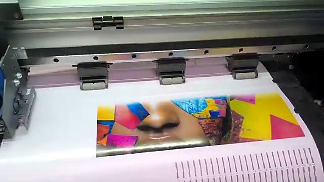 Nozzle test lines printed beside the portrait artwork on vinyl