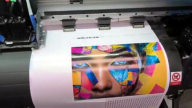 Colourful geometric portrait print on vinyl with am.co.za text