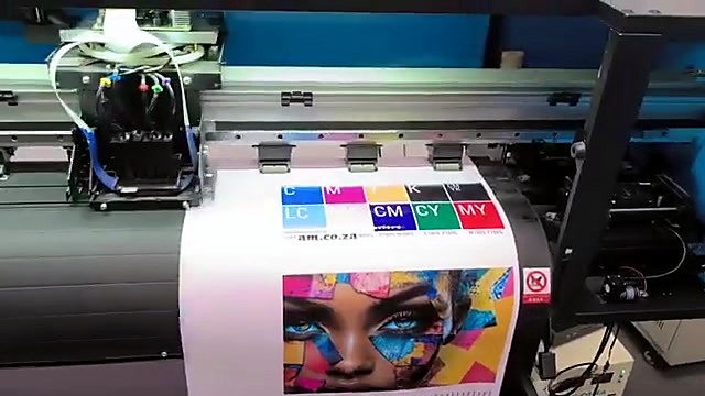 Colour alignment bar printed above the portrait on vinyl