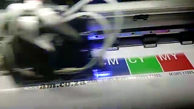 Double-head XP600 carriage printing over vinyl