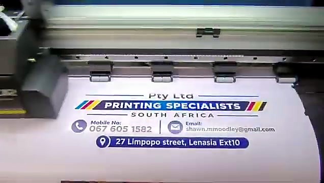 Artwork designs printing on smooth vinyl