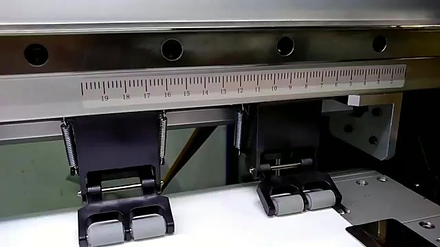 Media feed scale + pinch rollers (SKU ask)