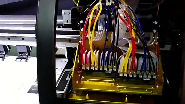 CLEAR dual gold carriage twin damper banks (SKU ask)
