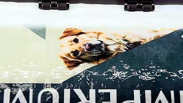 Golden retriever photo print sample on white roll (SKU ask)