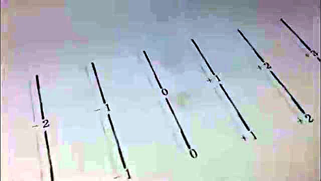 CLEAR numbered step-align -2..+2 print densify (SKU ask)