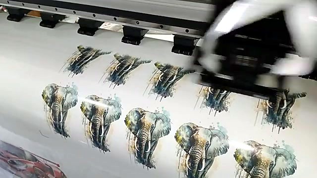 Pinch rollers holding white media (SKU ask)