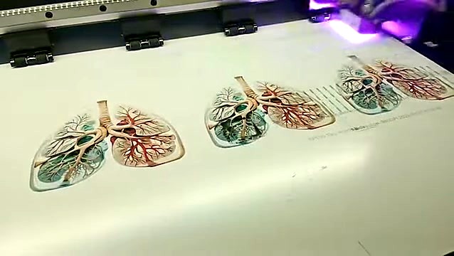 Purple UV LED curing row of lung graphics (SKU ask)
