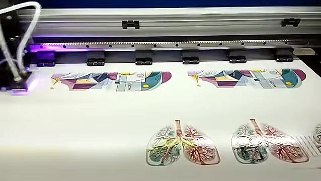 Carriage printing geometric row above lungs (SKU ask)