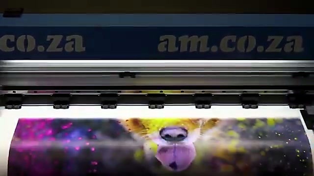 Dog face UV print densify (SKU ask)