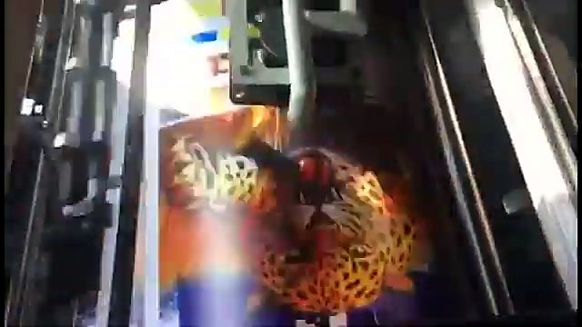 Bright full-colour leopard artwork printed by the GL4-6245/N four-station offset printer