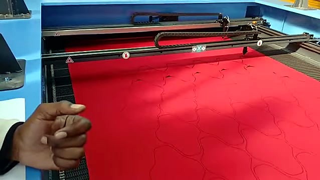Gantry X-label + laser warnings; red fabric on mesh conveyor (SKU ask)