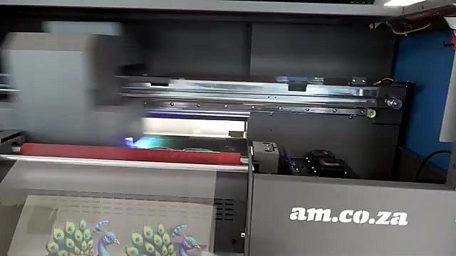 am.co.za UV-DTF interior printing peacock stickers (SKU ask)
