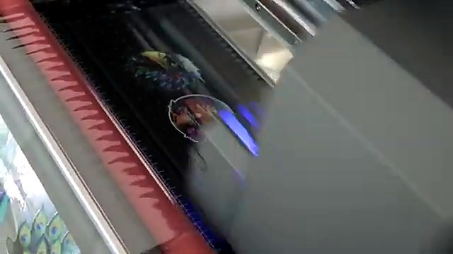 UV blue cure glow over peacock sticker row (SKU ask)