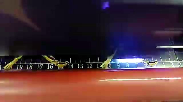 UV close-up over gold baseball graphics (SKU ask)