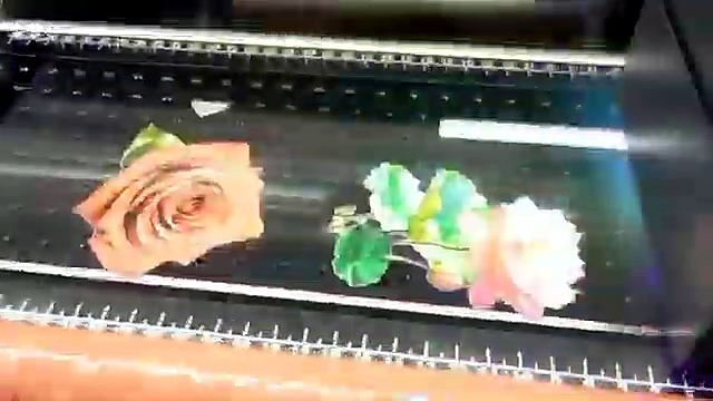 Floral rose UV-DTF print mid-pass (SKU ask)