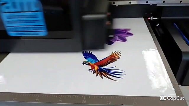 Macaw UV print under FlatPRINT carriage + AM.CO.ZA sticker (SKU ask)